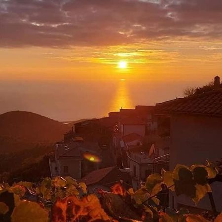 بولّيكا Carmineholidayhouse المظهر الخارجي الصورة