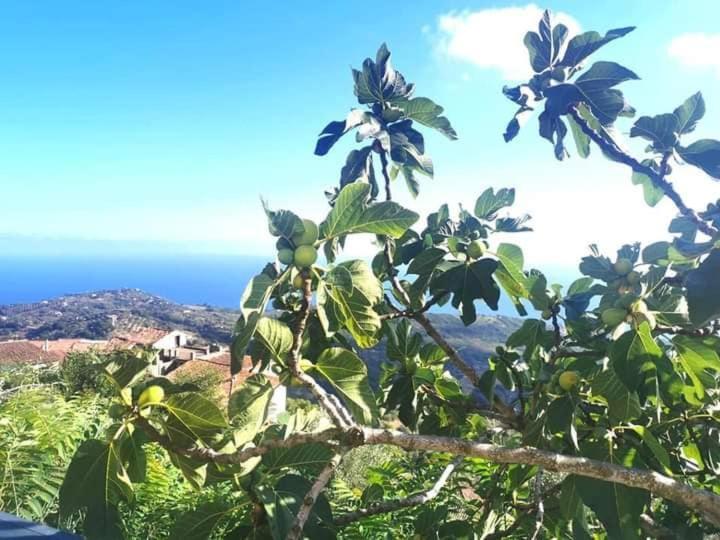 بولّيكا Carmineholidayhouse المظهر الخارجي الصورة